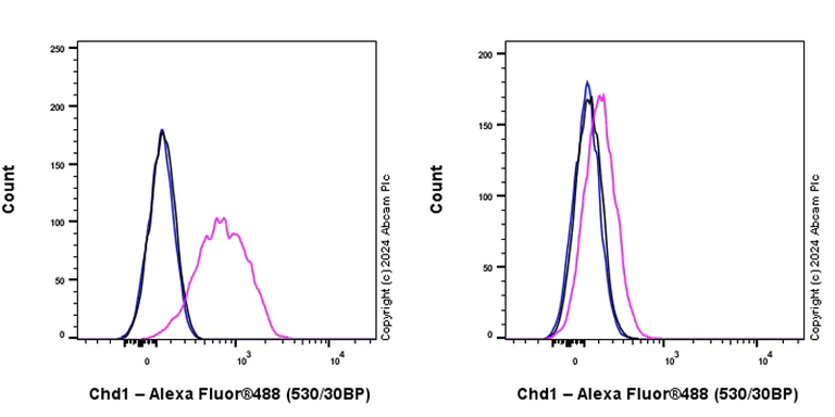 Flow Cytometry (Intracellular) - Anti-Chd1 antibody [EPR28727-78] - BSA and Azide free (AB318139)