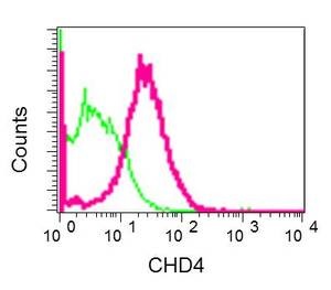 Flow Cytometry (Intracellular) - Anti-CHD4 antibody [EPR12229] (AB181370), expandable thumbnail
