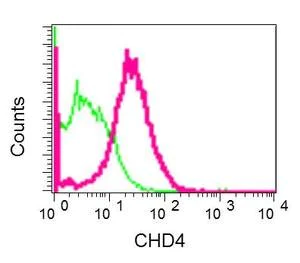 Flow Cytometry (Intracellular) - Anti-CHD4 antibody [EPR12229] - BSA and Azide free (AB250495)