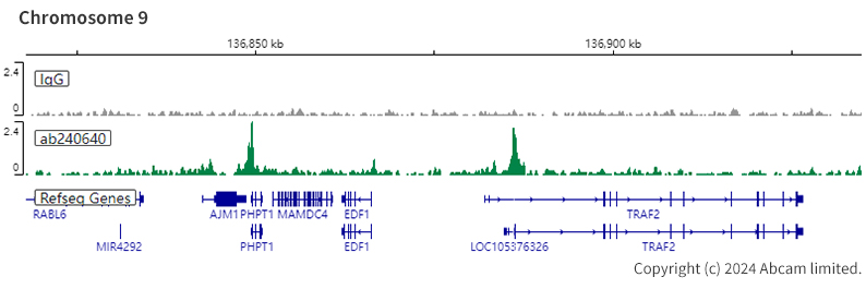 ChIC/CUT&RUN sequencing - Anti-CHD4 antibody [EPR22953-38] - ChIP Grade (ab240640), expandable thumbnail
