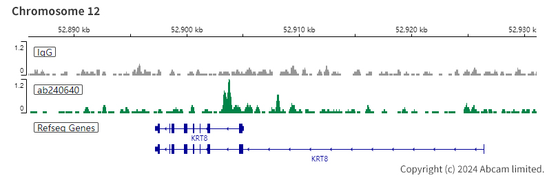 ChIC/CUT&RUN sequencing - Anti-CHD4 antibody [EPR22953-38] - ChIP Grade (ab240640), expandable thumbnail