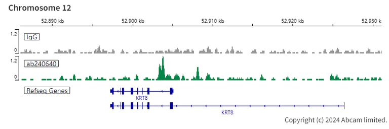 ChIC/CUT&RUN sequencing - Anti-CHD4 antibody [EPR22953-38] - ChIP Grade (AB240640)