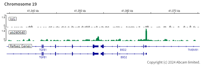 ChIC/CUT&RUN sequencing - Anti-CHD4 antibody [EPR22953-38] - ChIP Grade (ab240640), expandable thumbnail
