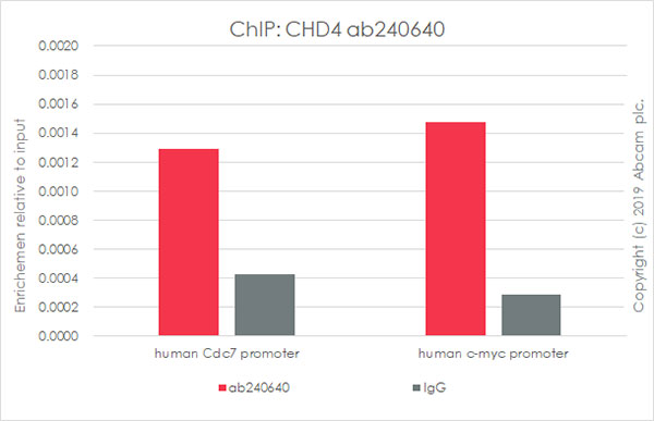 ChIP - Anti-CHD4 antibody [EPR22953-38] - ChIP Grade (AB240640), expandable thumbnail