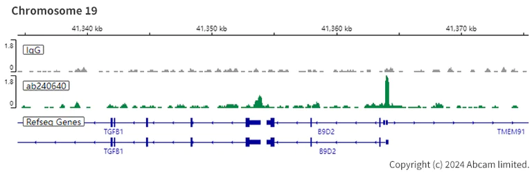 ChIC/CUT&RUN sequencing - Anti-CHD4 antibody [EPR22953-38] - ChIP Grade - BSA and Azide free (AB263025)