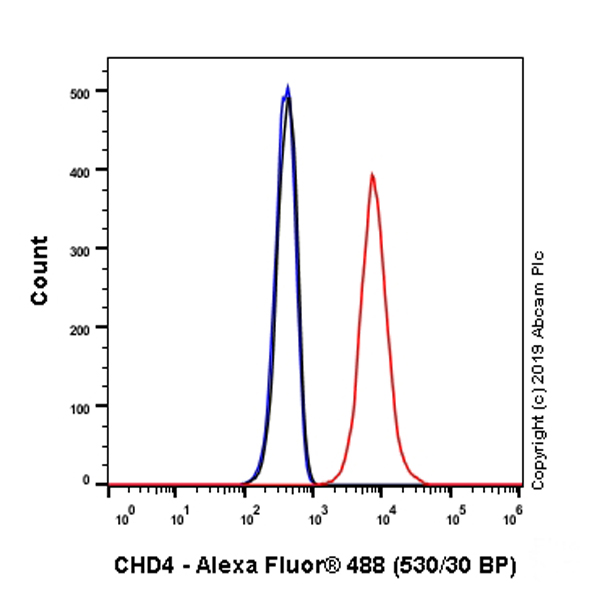 Flow Cytometry (Intracellular) - Anti-CHD4 antibody [EPR22953-38] - ChIP Grade - BSA and Azide free (AB263025)