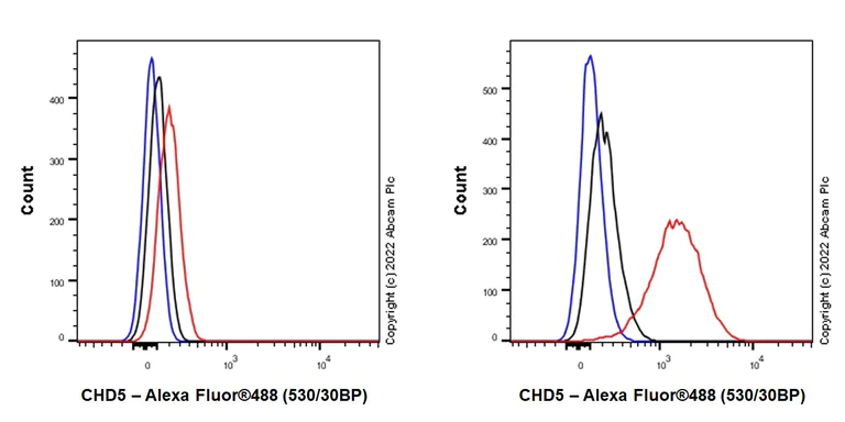 Flow Cytometry (Intracellular) - Anti-CHD5 antibody [EPR23858-3-8] (AB300437)