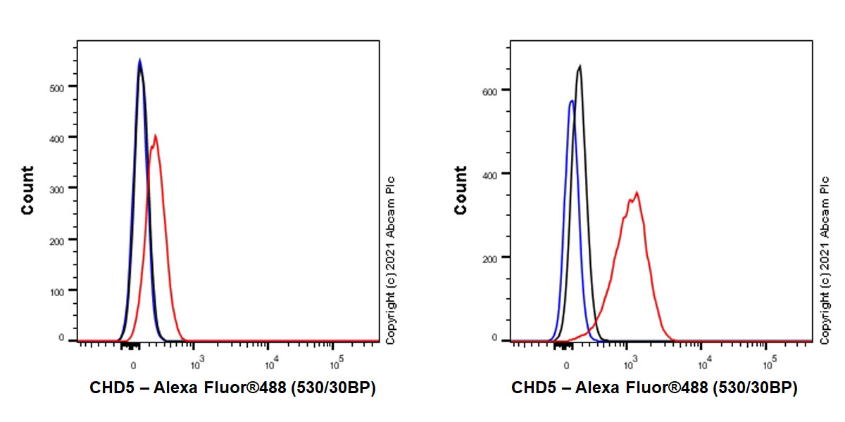 Flow Cytometry - Anti-CHD5 antibody [EPR23858-3] (AB259857), expandable thumbnail