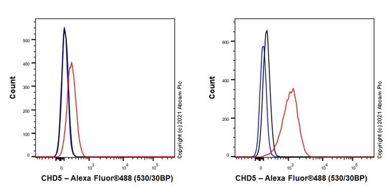 Flow Cytometry (Intracellular) - Anti-CHD5 antibody [EPR23858-3] (AB259857)