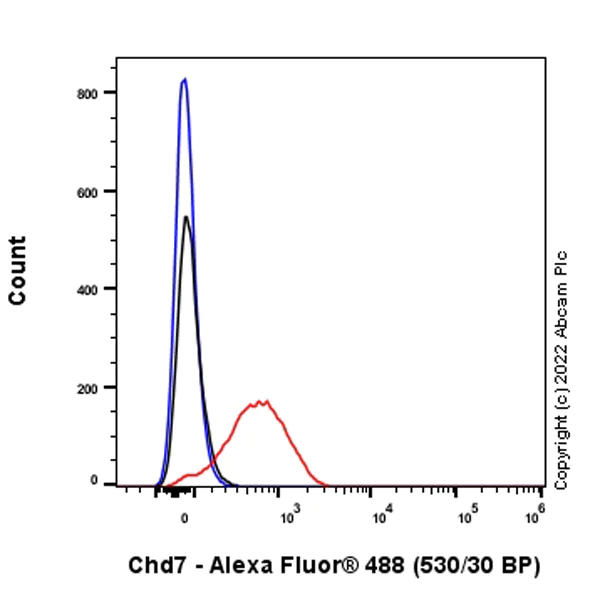 Flow Cytometry (Intracellular) - Anti-CHD7 antibody [EPR25355-7] (AB307499)