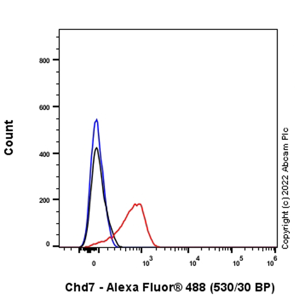 Flow Cytometry (Intracellular) - Anti-CHD7 antibody [EPR25355-7] (AB307499)