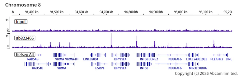 ChIP-sequencing - Anti-CHD8 antibody [EPR28099-126] - BSA and Azide free (AB324838)