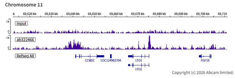 ChIP-sequencing - Anti-CHD8 antibody [EPR28099-126] - BSA and Azide free (AB324838)