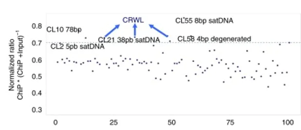 ChIP - ChIP Kit - Plants (AB117137)