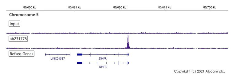 ChIP-sequencing - ChIP Kit (Transcription factors, ChIP-seq) (AB270813)