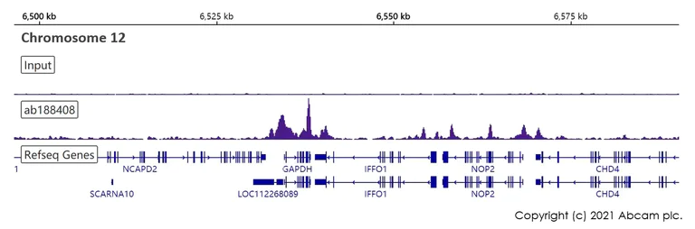 ChIP-sequencing - ChIP Kit (Transcription factors, ChIP-seq) (AB270813)