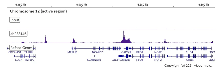 ChIP-sequencing - ChIP Kit (Transcription factors, ChIP-seq) (AB270813)