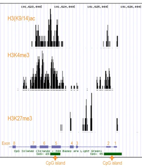 ChIP - ChIP-Seq High Sensitivity Kit (AB185908)