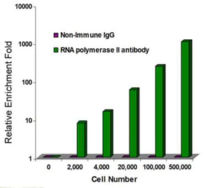 ChIP-sequencing - ChIP-Seq High Sensitivity Kit (AB185908)