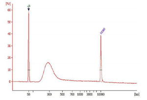 Spectrum - ChIP-Seq High Sensitivity Kit (AB185908), expandable thumbnail