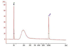 Spectrum - ChIP-Seq High Sensitivity Kit (AB185908)