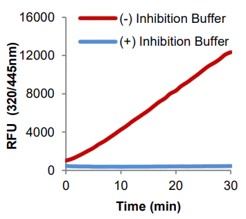 Functional Studies - Chitotriosidase Assay Kit (AB241009)