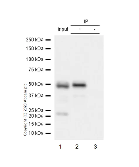 webp-475.webp
