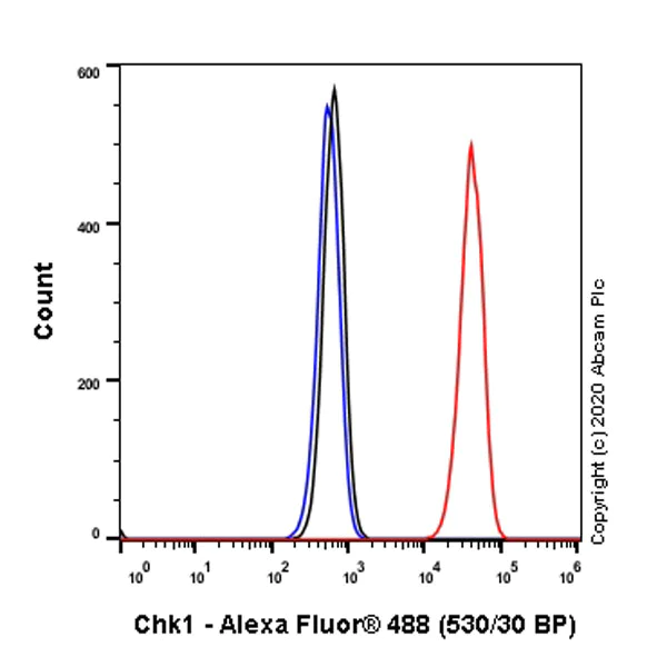 Flow Cytometry (Intracellular) - Anti-Chk1 antibody [E250] - BSA and Azide free (AB239821)