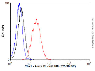 Flow Cytometry (Intracellular) - Anti-Chk1 antibody [EP691Y] - BSA and Azide free (AB210964), expandable thumbnail