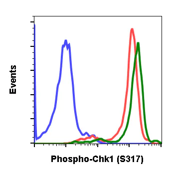 Flow Cytometry - Anti-Chk1 (phospho S317) antibody [Chk1S317-G1] (AB278717)