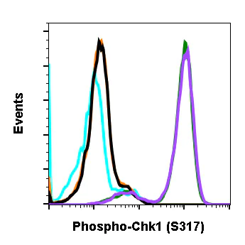 Flow Cytometry - Anti-Chk1 (phospho S317) antibody [Chk1S317-G1] (AB278717)