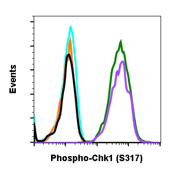 Flow Cytometry - Anti-Chk1 (phospho S317) antibody [Chk1S317-G1] (AB278717)