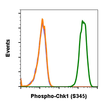 Flow Cytometry - Anti-Chk1 (phospho S345) antibody [Chk1S345-R3F9] (AB278706)