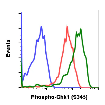 Flow Cytometry - Anti-Chk1 (phospho S345) antibody [Chk1S345-R3F9] (AB278706)