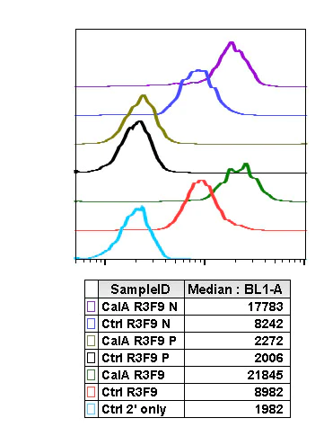 Flow Cytometry - Anti-Chk1 (phospho S345) antibody [Chk1S345-R3F9] (AB278706)