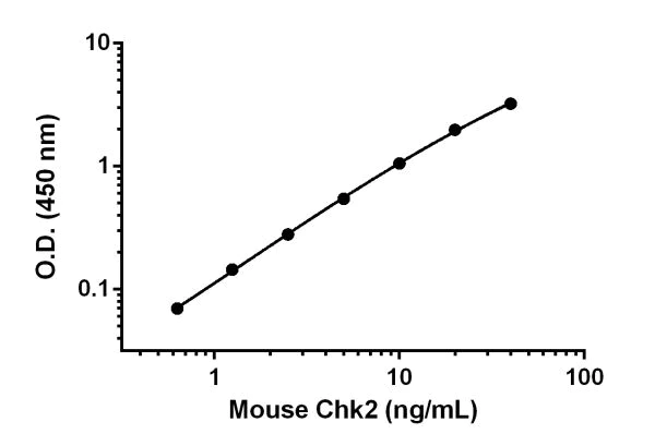 Sandwich ELISA - Anti-Chk2 antibody [EPR19236] - BSA and Azide free (Detector) (AB242831)