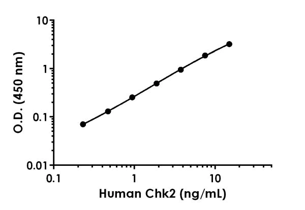 Sandwich ELISA - Anti-Chk2 antibody [EPR19482-184] - BSA and Azide free (Detector) (AB244907)