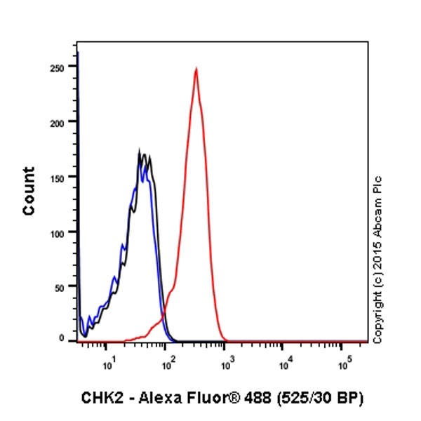Flow Cytometry (Intracellular) - Anti-Chk2 antibody [EPR19482] (ab207446), expandable thumbnail