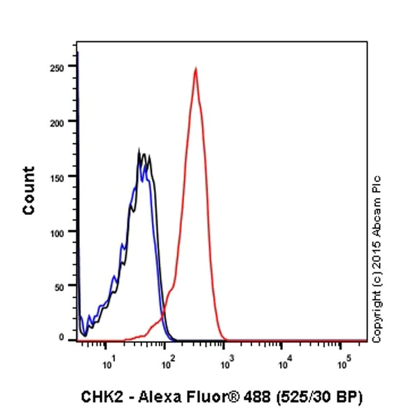 Flow Cytometry (Intracellular) - Anti-Chk2 antibody [EPR19482] (AB207446)
