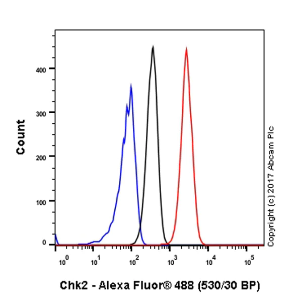 Flow Cytometry (Intracellular) - Anti-Chk2 antibody [EPR4325] (AB109413)
