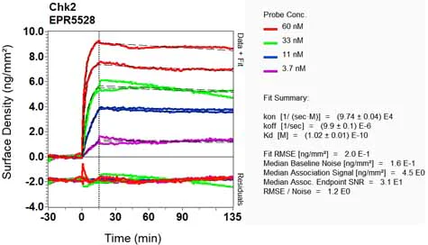 OI-RD Scanning - Anti-Chk2 antibody [EPR5528] - BSA and Azide free (AB248527)
