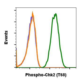 Anti-Chk2 (phospho T68) antibody [Chk2T68-D12] (ab278548