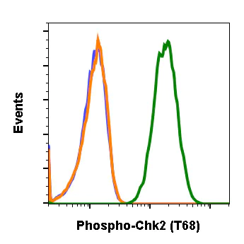 Flow Cytometry - Anti-Chk2 (phospho T68) antibody [Chk2T68-D12] (AB278548)