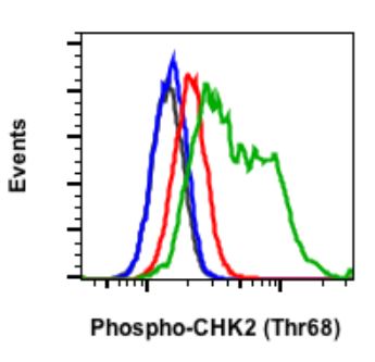 Flow Cytometry - Anti-Chk2 (phospho T68) antibody [Chk2T68-D12] (AB278548), expandable thumbnail