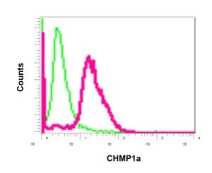 Flow Cytometry (Intracellular) - Anti-CHMP1a antibody [EPR11939] - BSA and Azide free (AB250060)