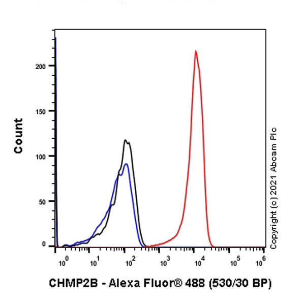 Flow Cytometry (Intracellular) - Anti-CHMP2B antibody [EPR10807(B)] - BSA and Azide free (AB249311), expandable thumbnail