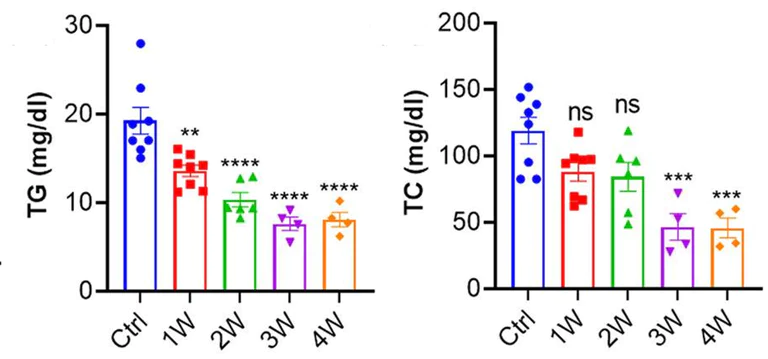 Biochemical assay - Cholesterol Assay Kit - HDL and LDL/VLDL (AB65390)