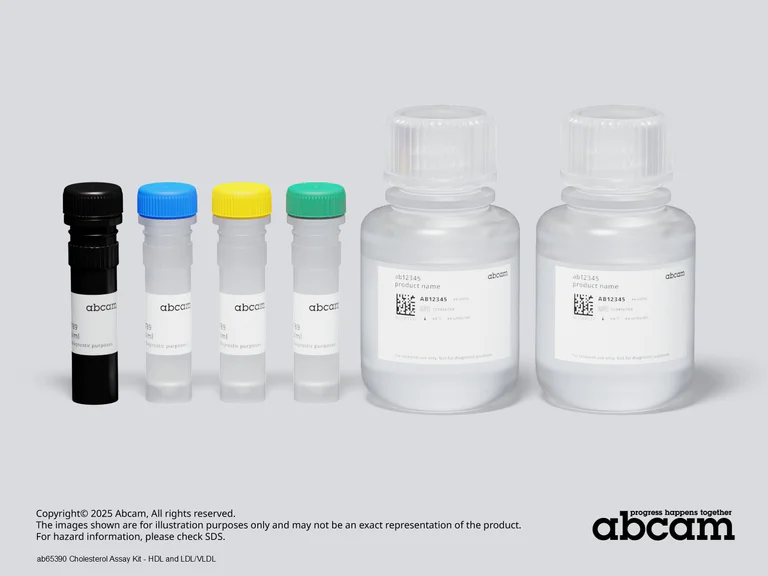 Cholesterol Assay Kit - HDL and LDL/VLDL (ab65390) | Abcam