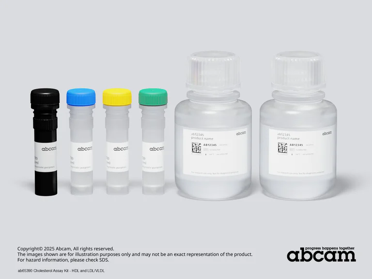Schematic Diagram - Cholesterol Assay Kit - HDL and LDL/VLDL (AB65390)