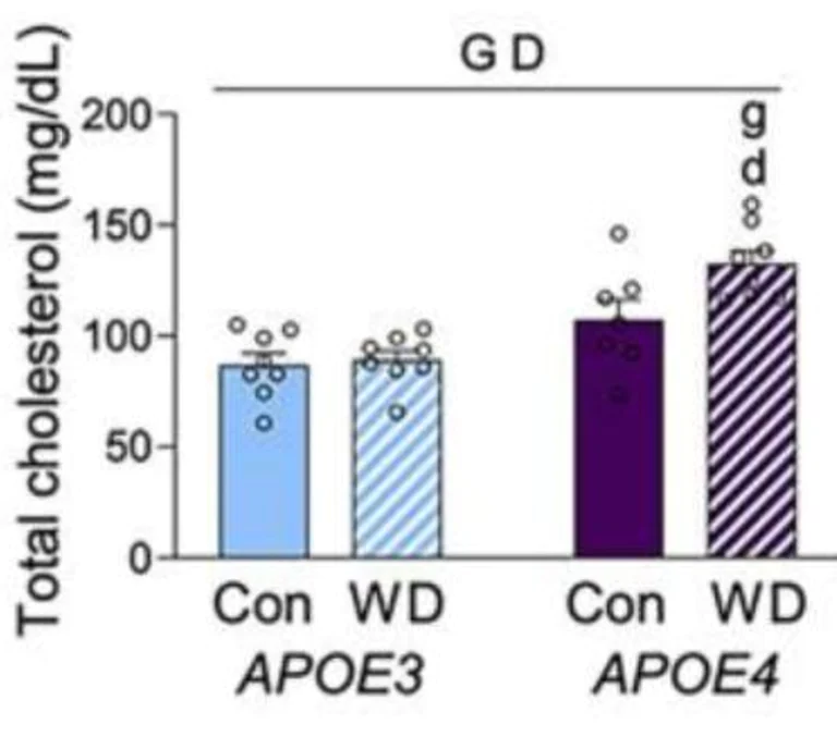 Biochemical assay - Cholesterol/ Cholesteryl Ester Assay Kit - Quantitation (AB65359)